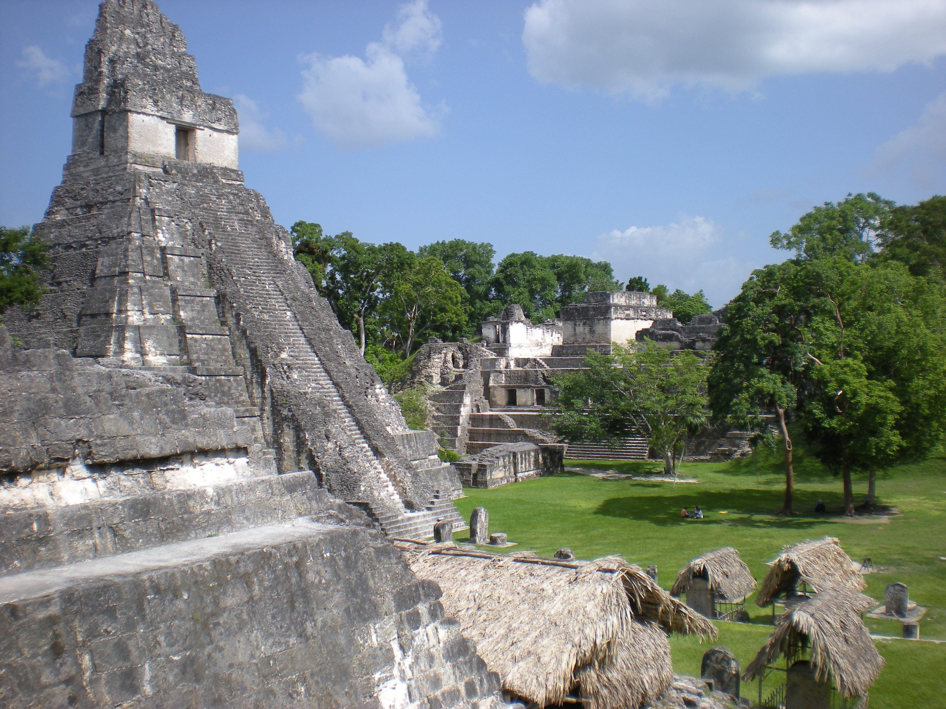 Slide Image
