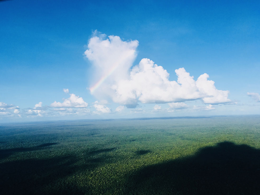 Slide Image
